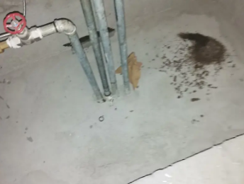 银川卫生间测漏水价格明细